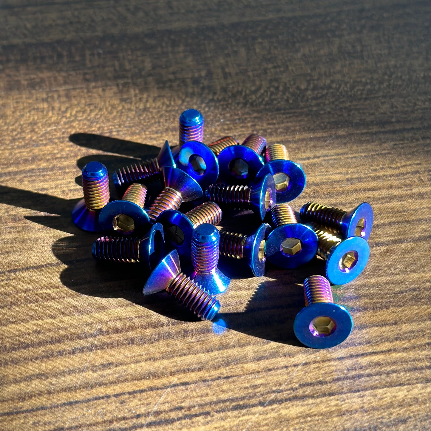 Moto Brake Rotor Titanium Bolts (REAR)