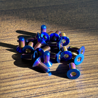 Moto Brake Rotor Titanium Bolts (REAR)